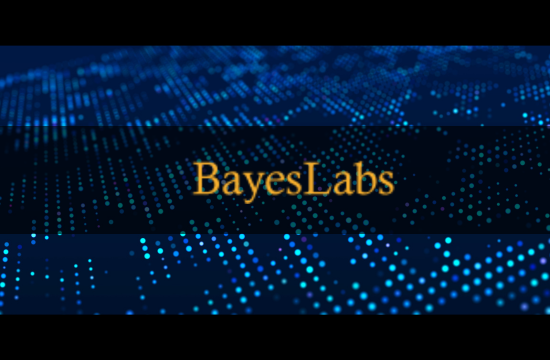 Graphic Design Internship at Bayes Labs