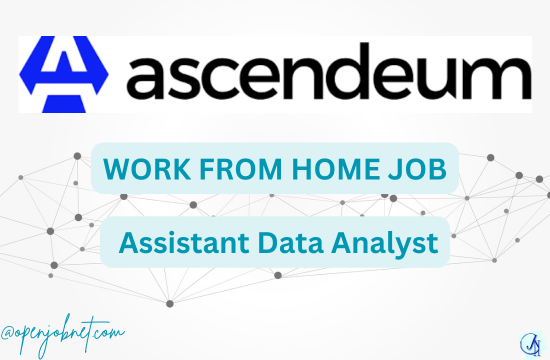 WORK FROM HOME JOB Assistant Data Analyst