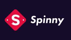 Spinny Product Operations Internship Spinny Product Operations Internship