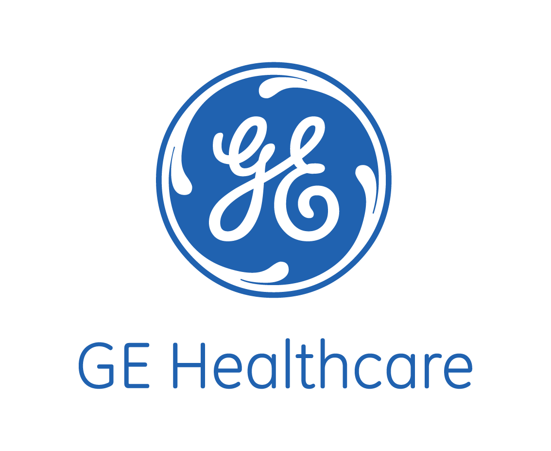 Information Technology Development Program at GE Healthcare
