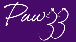 Artificial Intelligence (AI) Internship