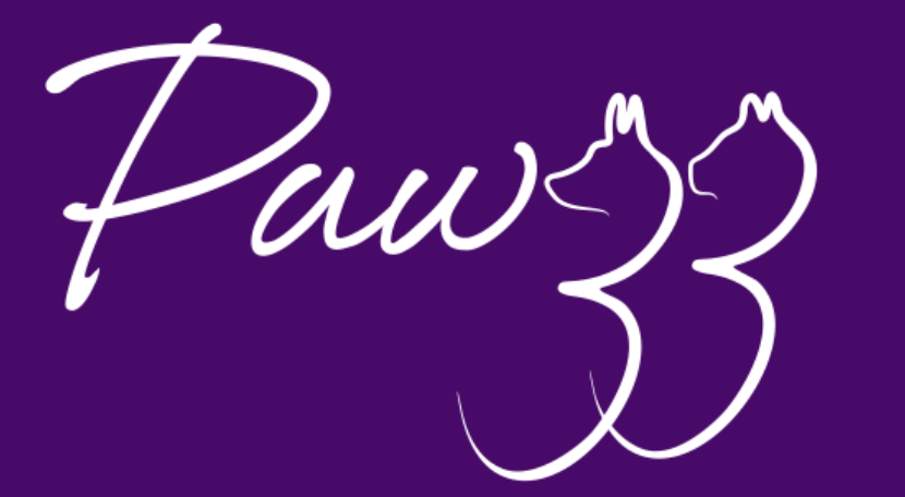 Artificial Intelligence (AI) Internship