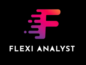 Software Engineer Intern at Flexi Analyst