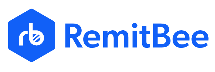 iOS Mobile Developer Internship at RemitBee