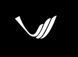 Systems Software Developer at Vicharak