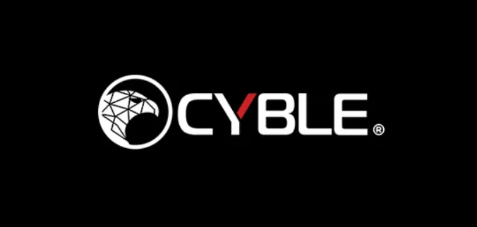 Cyble - Software Engineering Internship