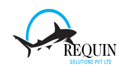 MERN Stack Web Developer Internship at Requin