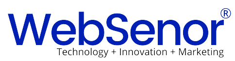 Digital Marketing Internship at WebSenor