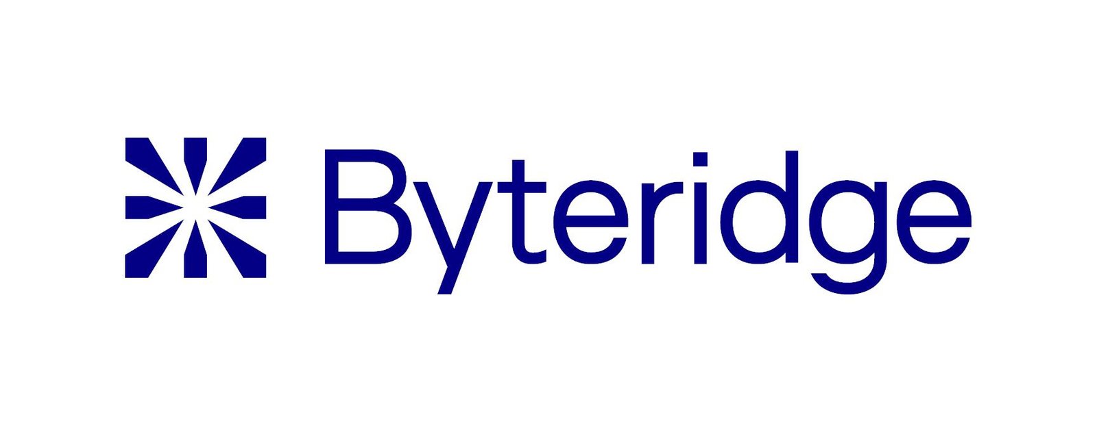 Byteridge Academic Internship