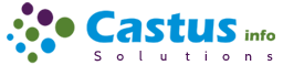 Software Developer Intern at Castus
