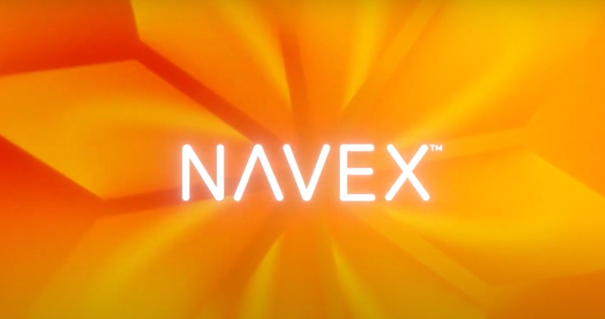 Software Engineer Jobs at NAVEX