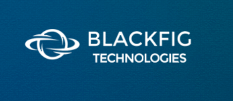 Intern SDE Job at BlackFig