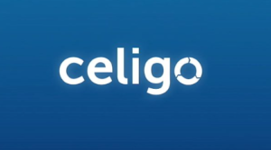 Technical Support Engineer Job at Celigo