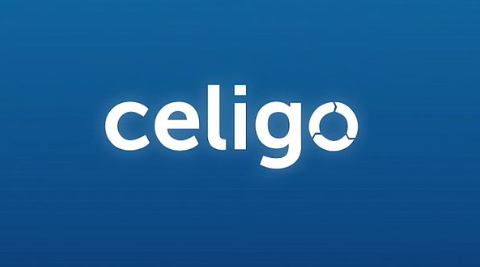 Technical Support Engineer Job at Celigo