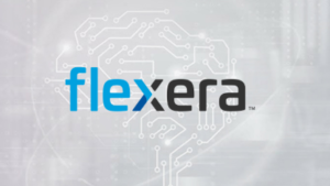 Associate Software Engineer Job at Flexera