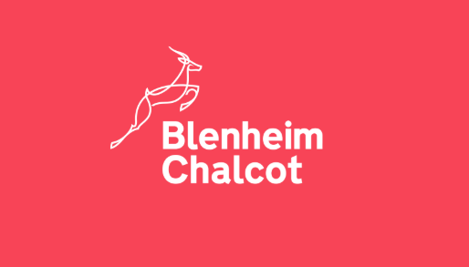 Blenheim Chalcot Hiring UI/UX Design Apprentice | Entry-Level Role