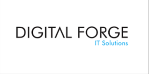 DigitalForge Solution Hiring Software Developers DigitalForge Solution Hiring Software Developers