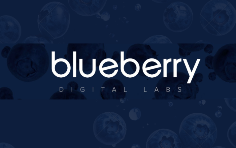 Blueberry Labs Hiring Software Engineer Intern Paid Internship