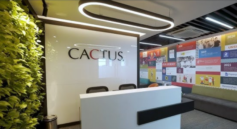 Software Engineering Intern at Cactus
