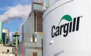 Cargill Hiring Associate Software Engineer