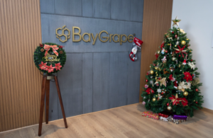 Software Development Internship at Baygrape ₹10,000/month