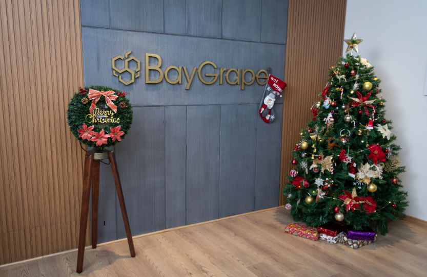 Software Development Internship at Baygrape ₹10,000/month