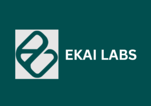 AI Product Manager Internship Ekai Labs WFH