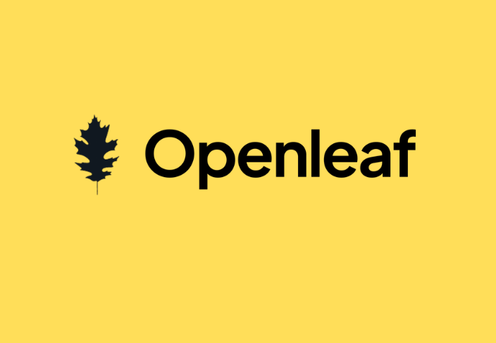 Openleaf Software Development Engineering Internship ₹20,000/month