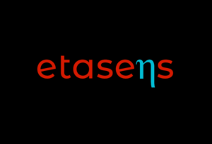 Etasens Software Engineer Intern Hiring