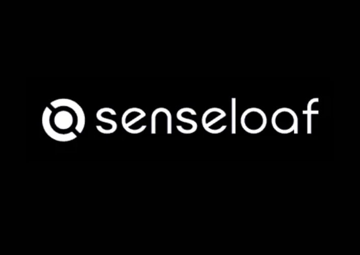 Frontend Engineer Intern at Senseloaf