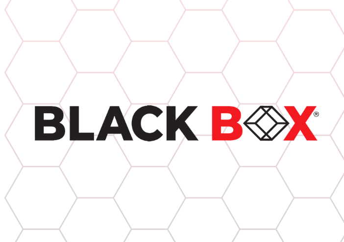 Black Box Hiring AI Intern