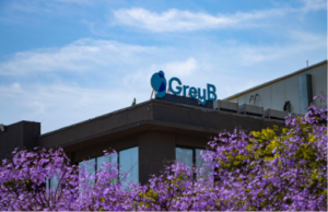 GreyB Software Developer Recruitment 2026 GreyB Software Developer Recruitment 2026