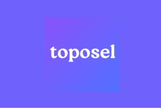 Toposel Hiring Full Stack Developer Intern ₹12,000/Month