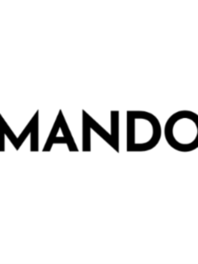 Mando Software Engineering Internship