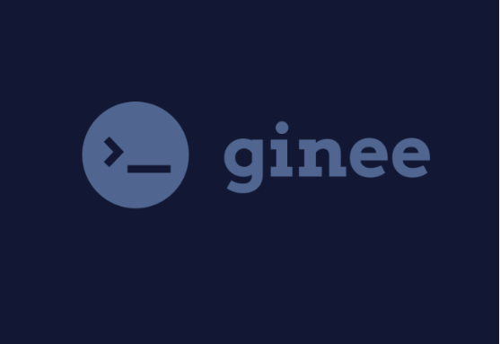 Ginee Intern Engineer - Software Engineering Internship
